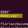 udp_docker_conf.png